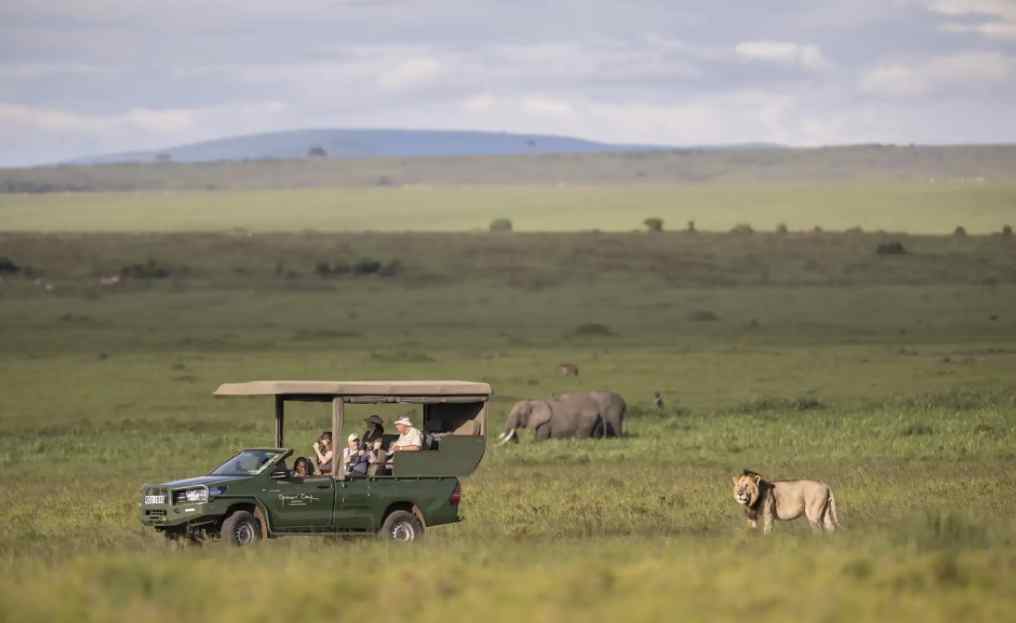 How Southern Africa’s Safari Destinations Reveal Nature’s Majesty Through Authentic Wildlife Encounters